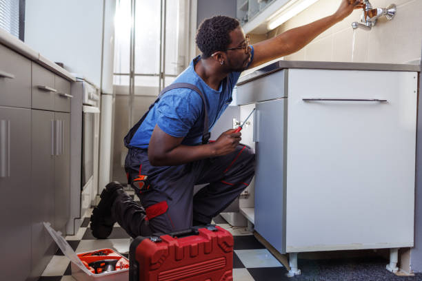 Best Plumbing System Maintenance  in Napoleon, OH